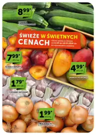 Groszek gazetka | Minimarket Strona 10