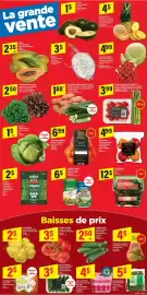 Maxi flyer week 11 Page 4