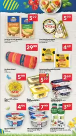 Lewiatan gazetka tydzień 11 Strona 7