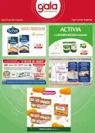 Volantino Gala Supermercati Pagina 29