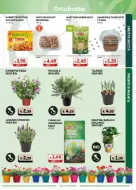 Volantino Gala Supermercati Pagina 7