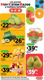 Folleto HEB semana 11 Página 2