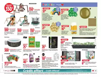 Canadian Tire flyer week 11 Page 17