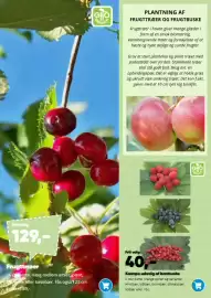 Bilka tilbudsavis Side 10