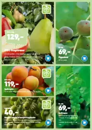 Bilka tilbudsavis Side 11