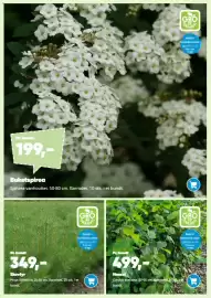 Bilka tilbudsavis Side 13