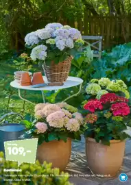 Bilka tilbudsavis Side 3