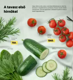 Kifli.hu akciós újság Oldal 10