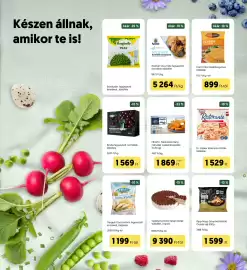 Kifli.hu akciós újság Oldal 33