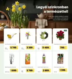 Kifli.hu akciós újság Oldal 7