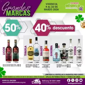 Folleto Bodegas Alianza Página 13