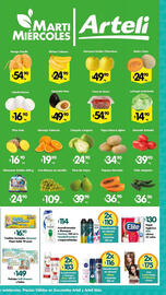 Folleto Arteli Página 2