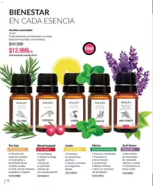 Catálogo Bagués Página 78