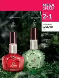 Catálogo Avon Página 119
