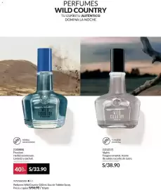 Catálogo Avon Página 120