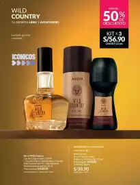Catálogo Avon Página 121