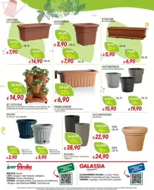 Volantino Galassia Pagina 12