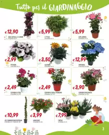 Volantino Galassia Pagina 3