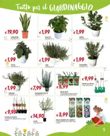 Volantino Galassia Pagina 5