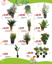 Volantino Galassia Pagina 6