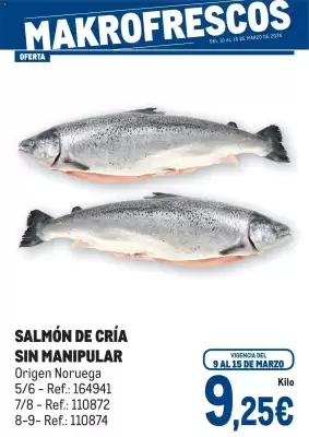 Catálogo Makro (válido hasta el 16-03)