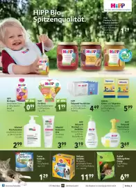 CITTI Markt Prospekt woche 11 Seite 17