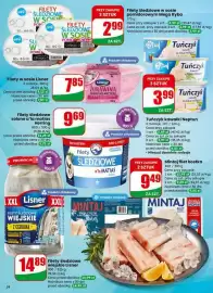 Dino gazetka tydzień 11 Strona 24