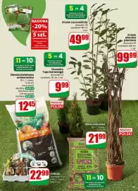 Dino gazetka tydzień 11 Strona 49