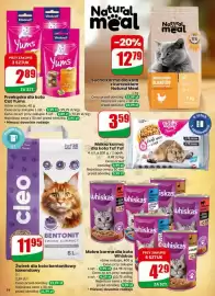 Dino gazetka tydzień 11 Strona 54