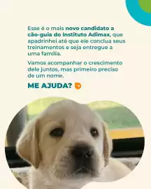 Catálogo Cobasi semana 11 Página 2