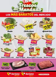 Folleto Soriana Express Página 1