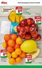 Dino gazetka tydzień 11 Strona 5