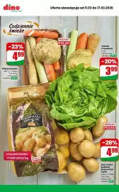 Dino gazetka tydzień 11 Strona 7