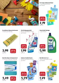 Eurogast Grissemann Flugblatt woche 11 Seite 2