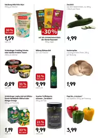 Eurogast Grissemann Flugblatt woche 11 Seite 5