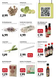 Eurogast Grissemann Flugblatt woche 11 Seite 6