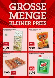 Eurogast Grissemann Flugblatt woche 11 Seite 9