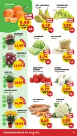 Catalog Penny săptămâna 11 Pagină 4