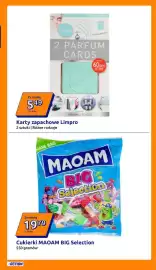 Action gazetka tydzień 11 Strona 17