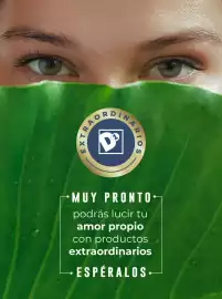 Catálogo Tiendas D1 Página 17