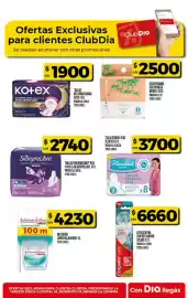 Folleto Supermercados DIA semana 11 Página 49