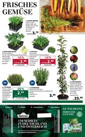 Dehner Flugblatt woche 11 Seite 16