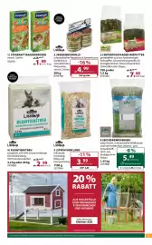 Dehner Flugblatt woche 11 Seite 13