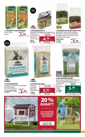 Dehner Flugblatt woche 11 Seite 13