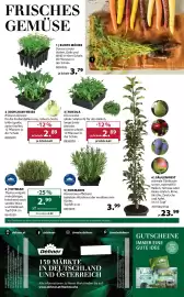 Dehner Flugblatt woche 11 Seite 16