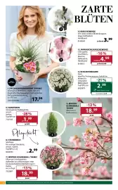 Dehner Flugblatt woche 11 Seite 2