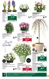 Dehner Flugblatt woche 11 Seite 3