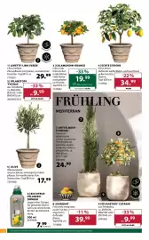 Dehner Flugblatt woche 11 Seite 4