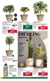 Dehner Flugblatt woche 11 Seite 4