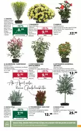 Dehner Flugblatt woche 11 Seite 5